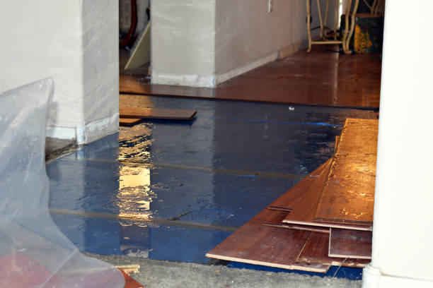 Professional Flood Cleanup technician working in Chesaning, MI